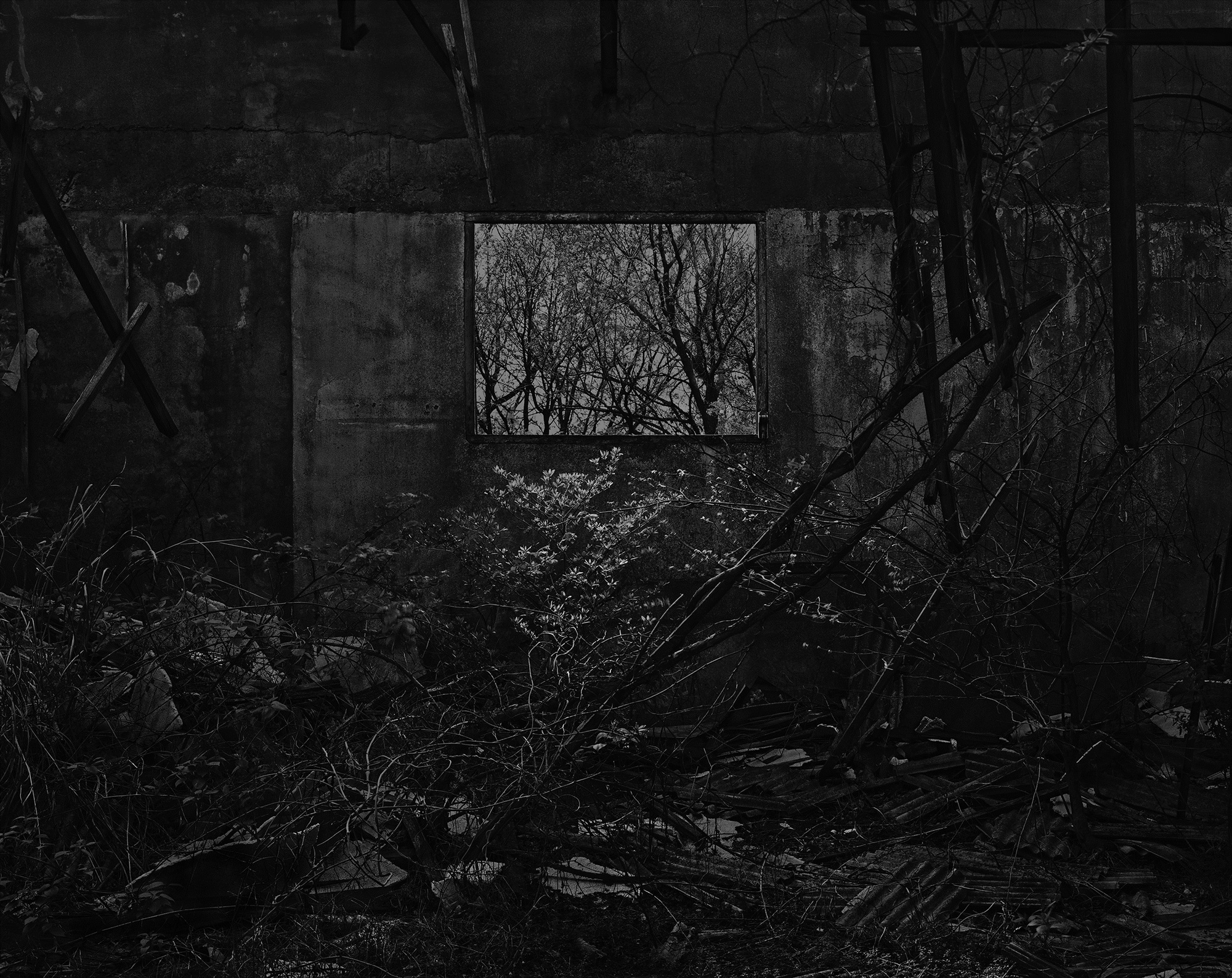 60_The white shaded backyard_Gyeongju_Archival Pigment Print_70 x 56 cm_Gun Young Lee_2013