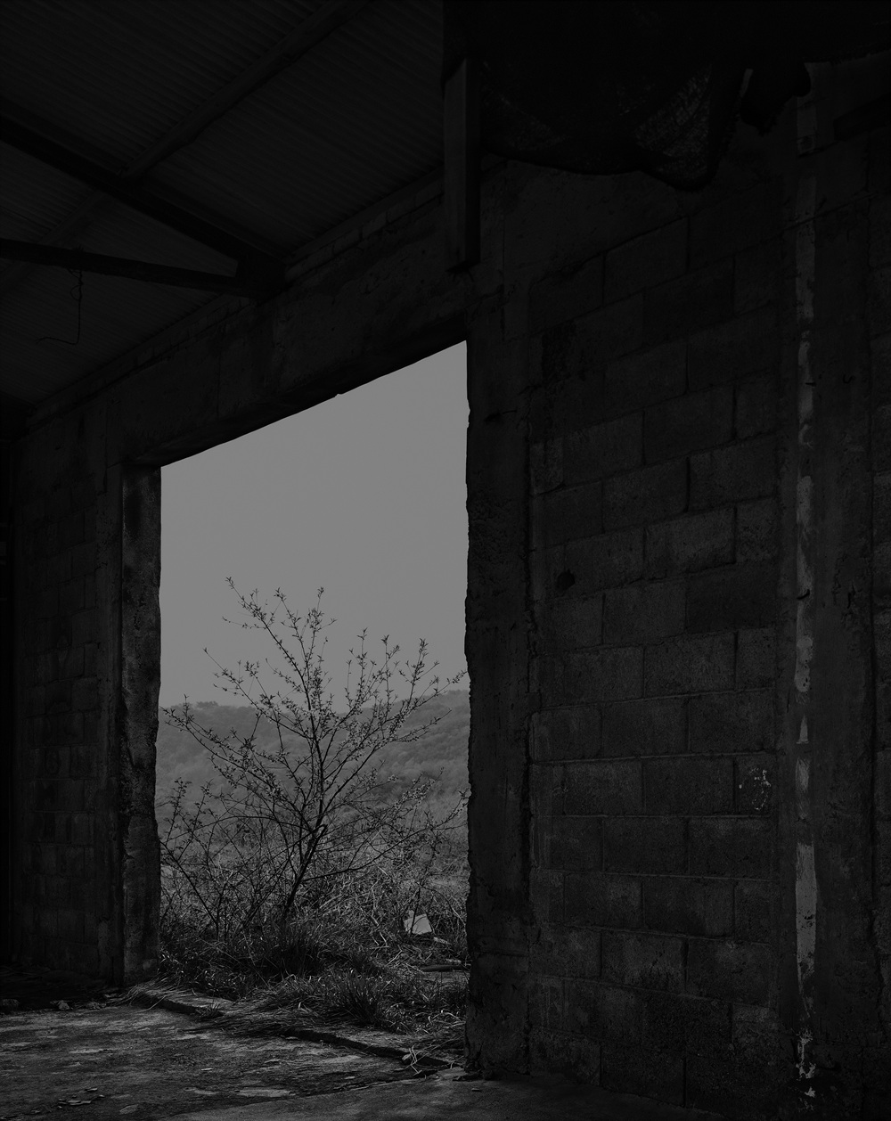 64_The white shaded backyard_Gyeongju_Archival Pigment Print_70 x 56 cm_Gun Young Lee_2013