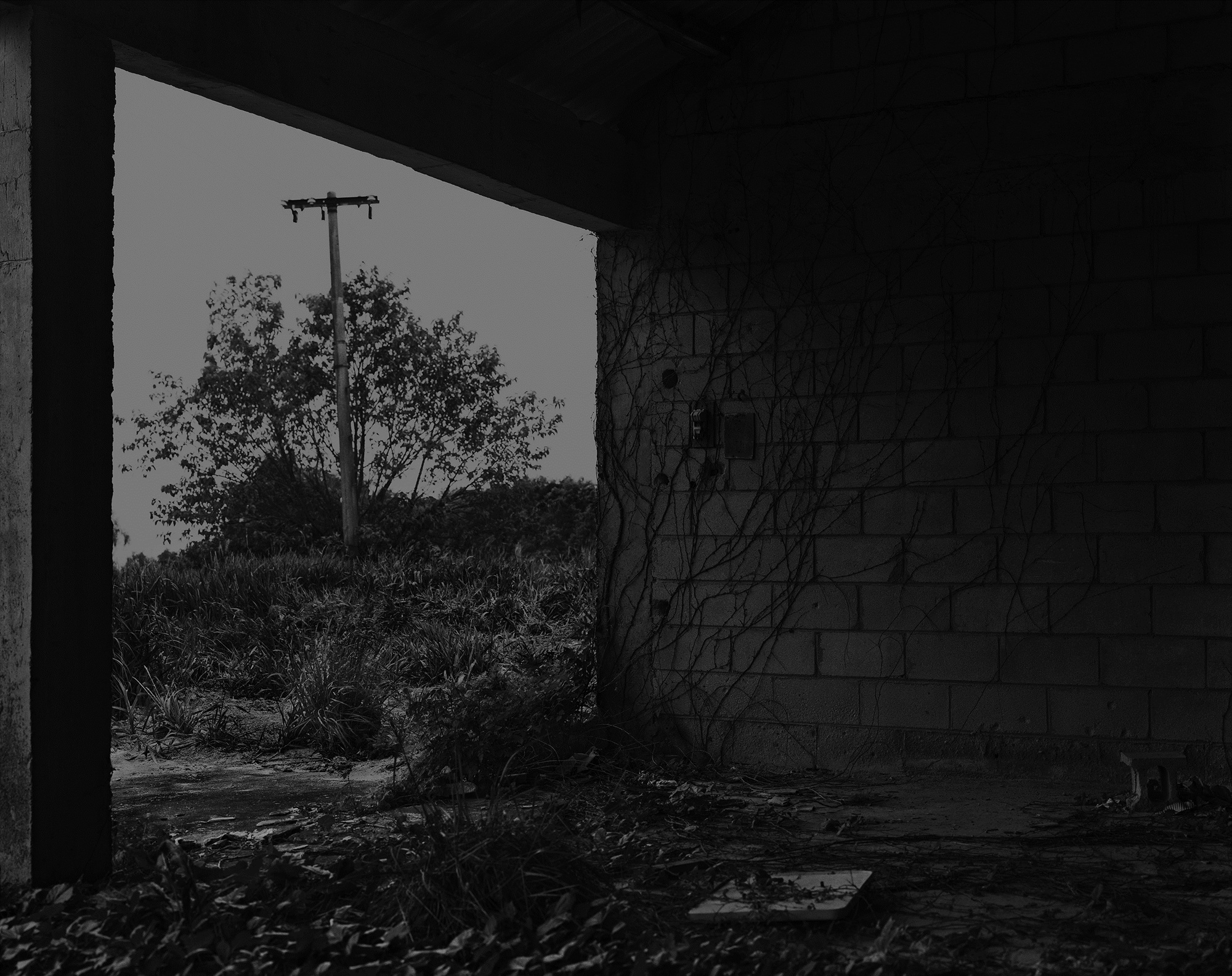 66_The white shaded backyard_Gyeongju_Archival Pigment Print_70 x 56 cm_Gun Young Lee_2013