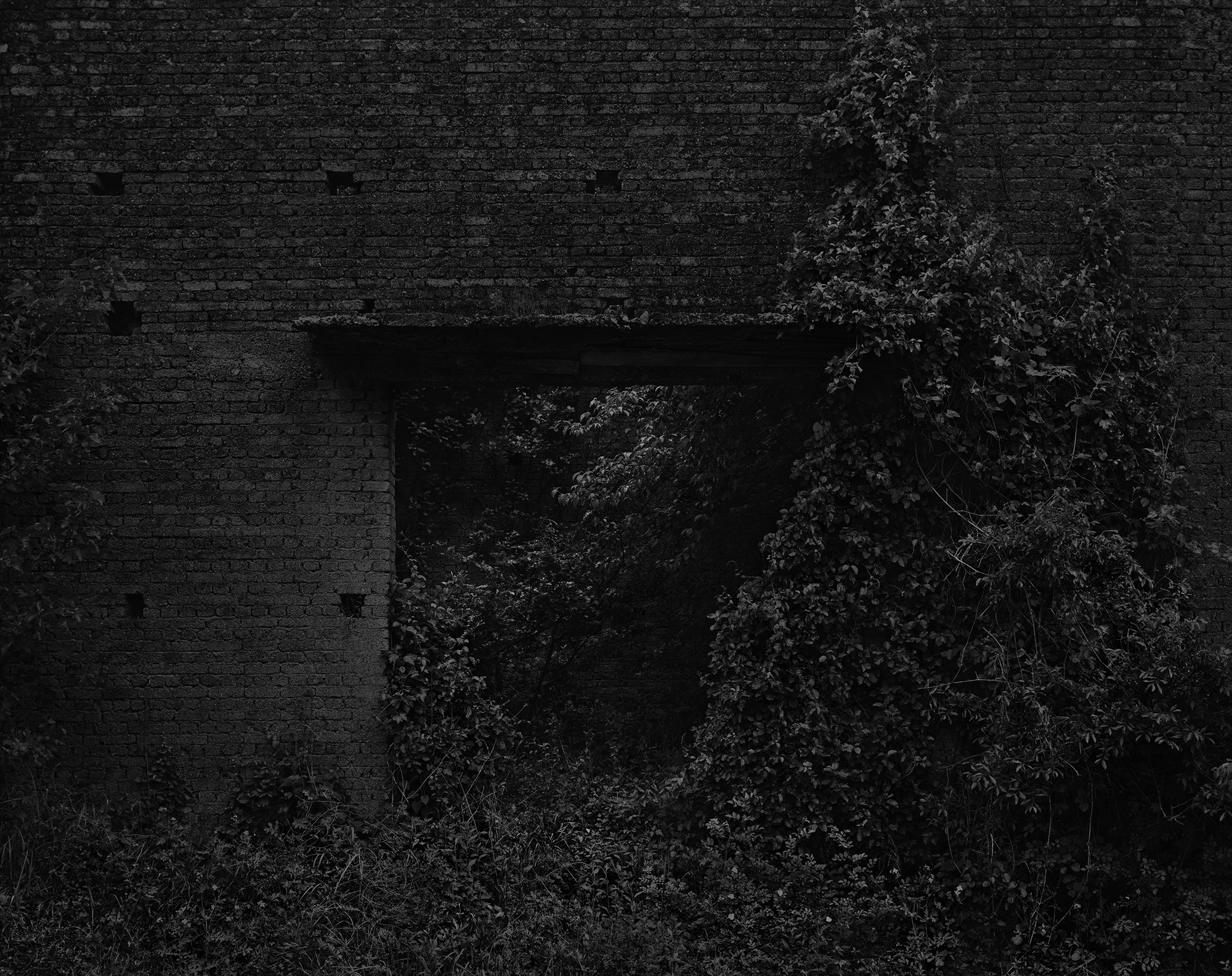 68_The white shaded backyard_Gyeongju_Archival Pigment Print_70 x 56 cm_Gun Young Lee_2013