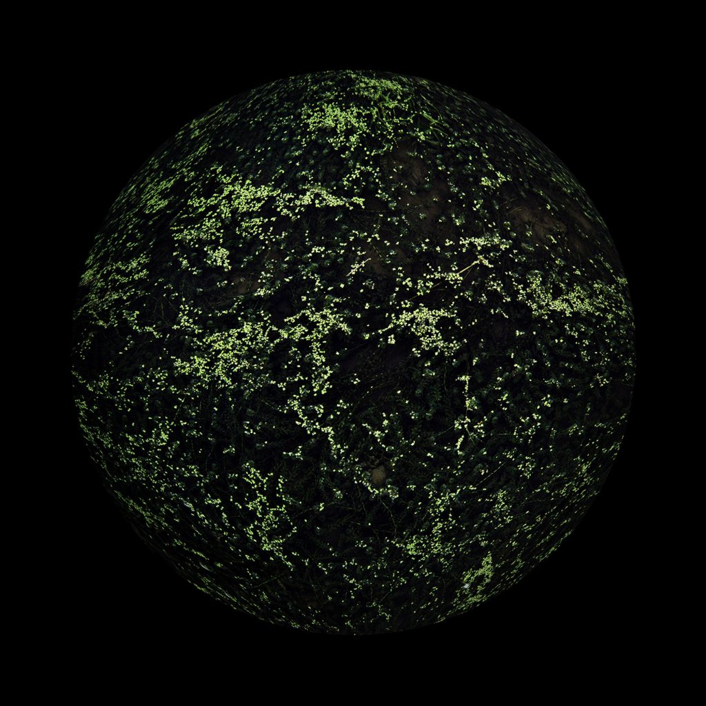 Lee gunyoung_PL.a.net.28_110cm_Archival Pigment Print_2013