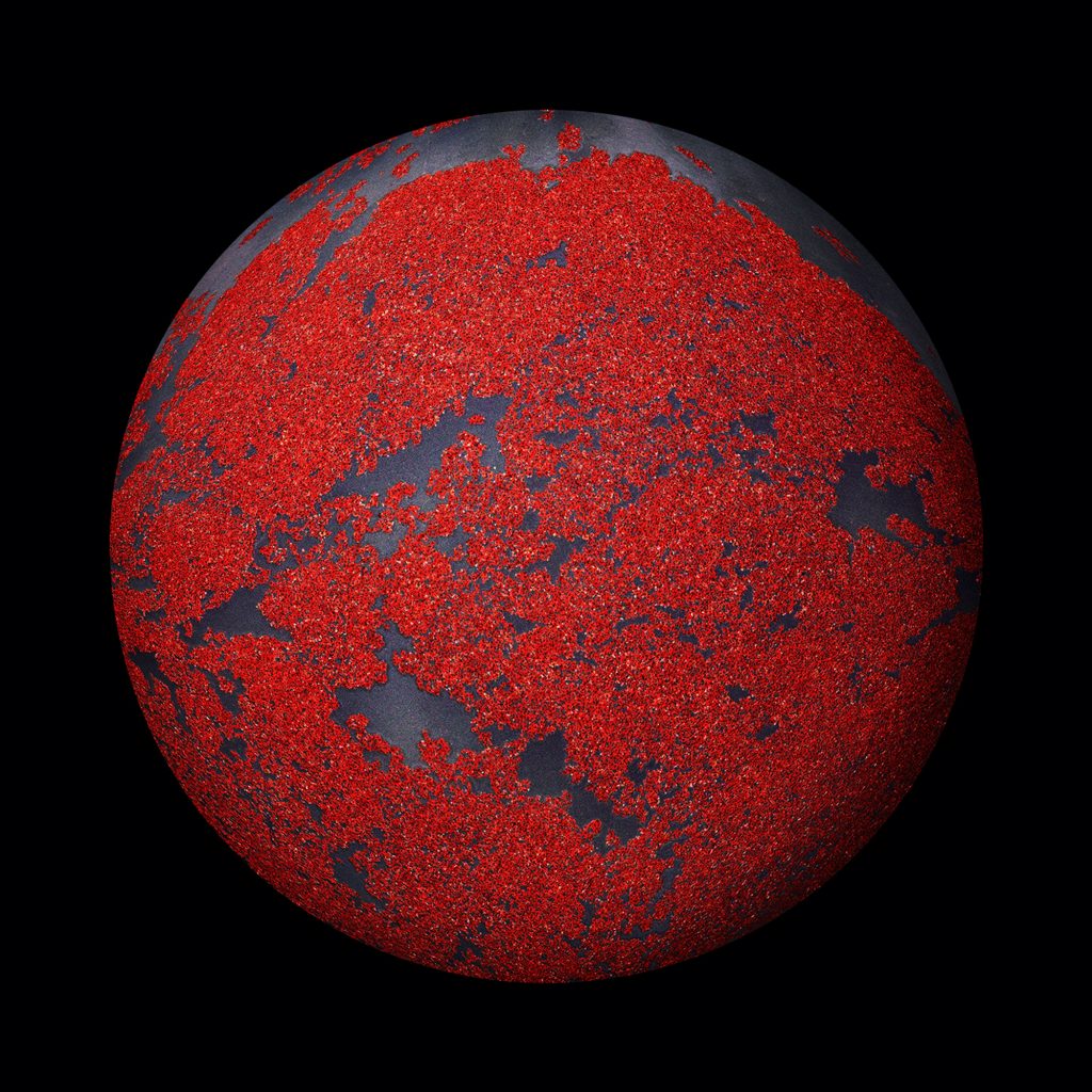 Lee gunyoung_PL.a.net.50_110cm_Archival Pigment Print_2014