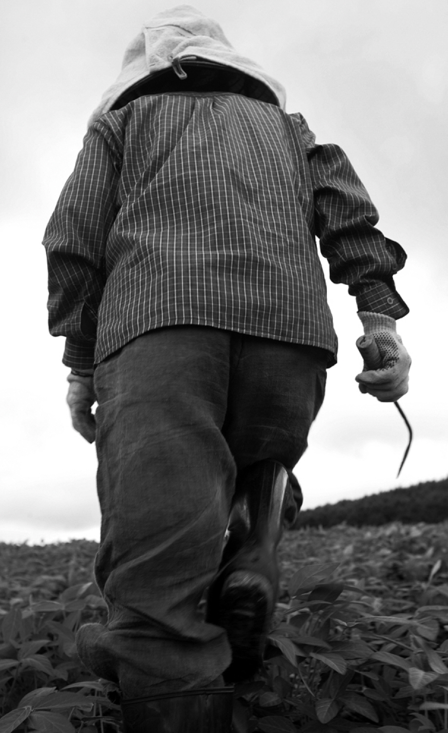 내가 태어난 제주 (1)