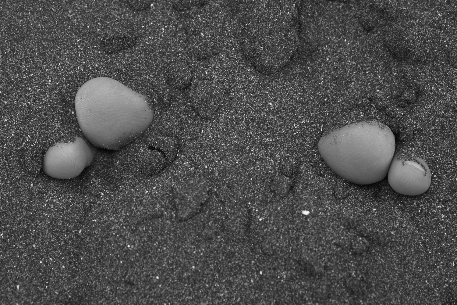 내가 태어난 제주 (10)