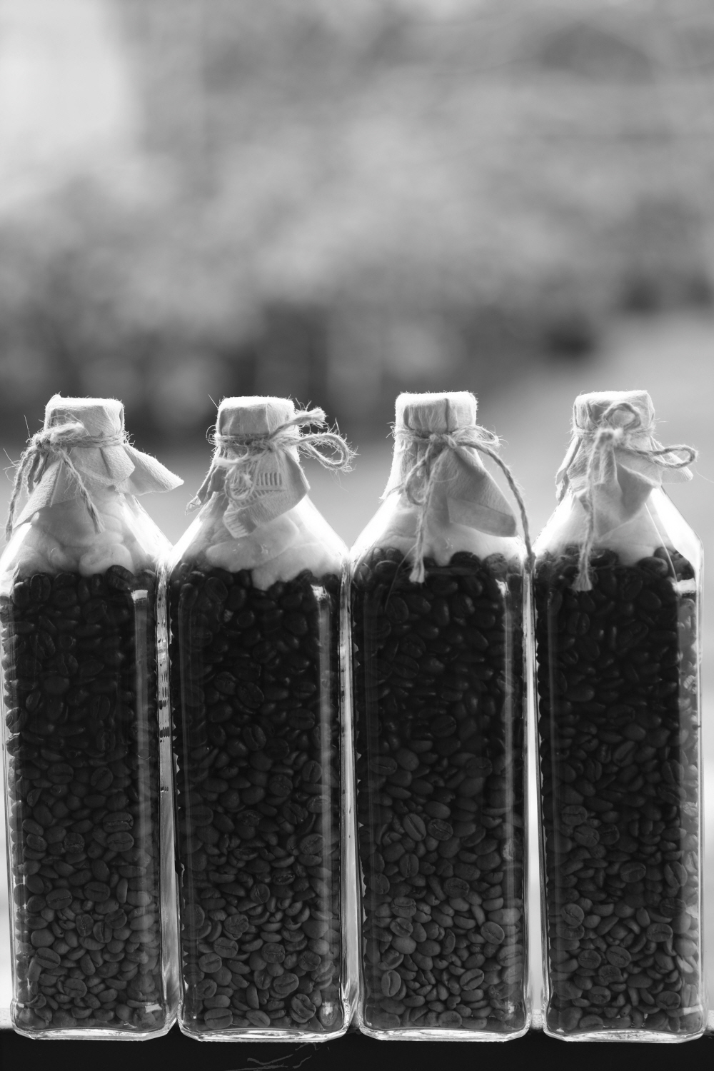 내가 태어난 제주 (11)