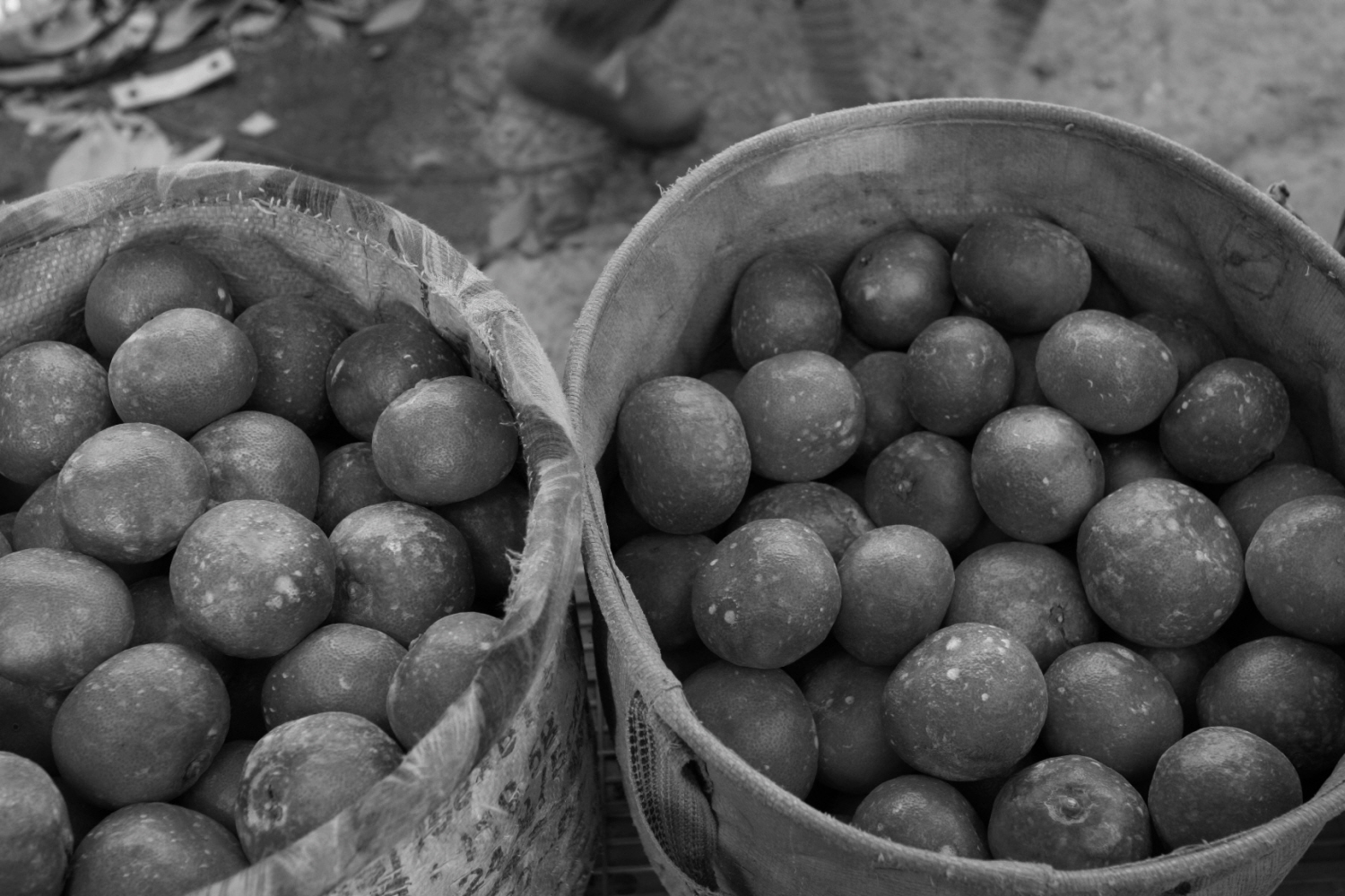 내가 태어난 제주 (12)