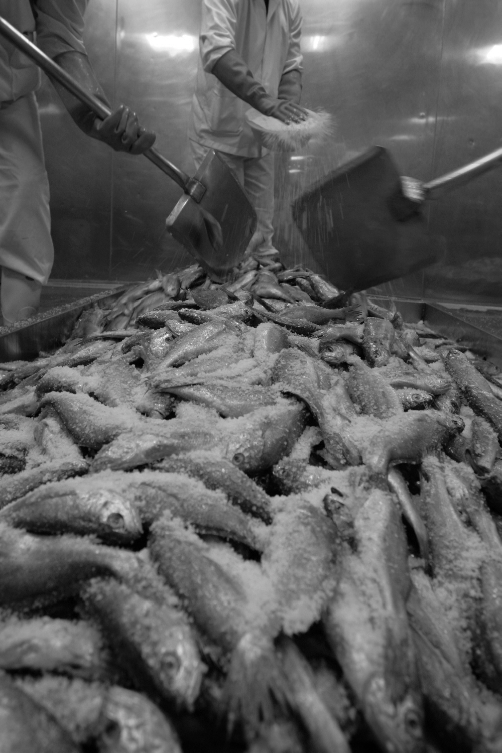 내가 태어난 제주 (13)