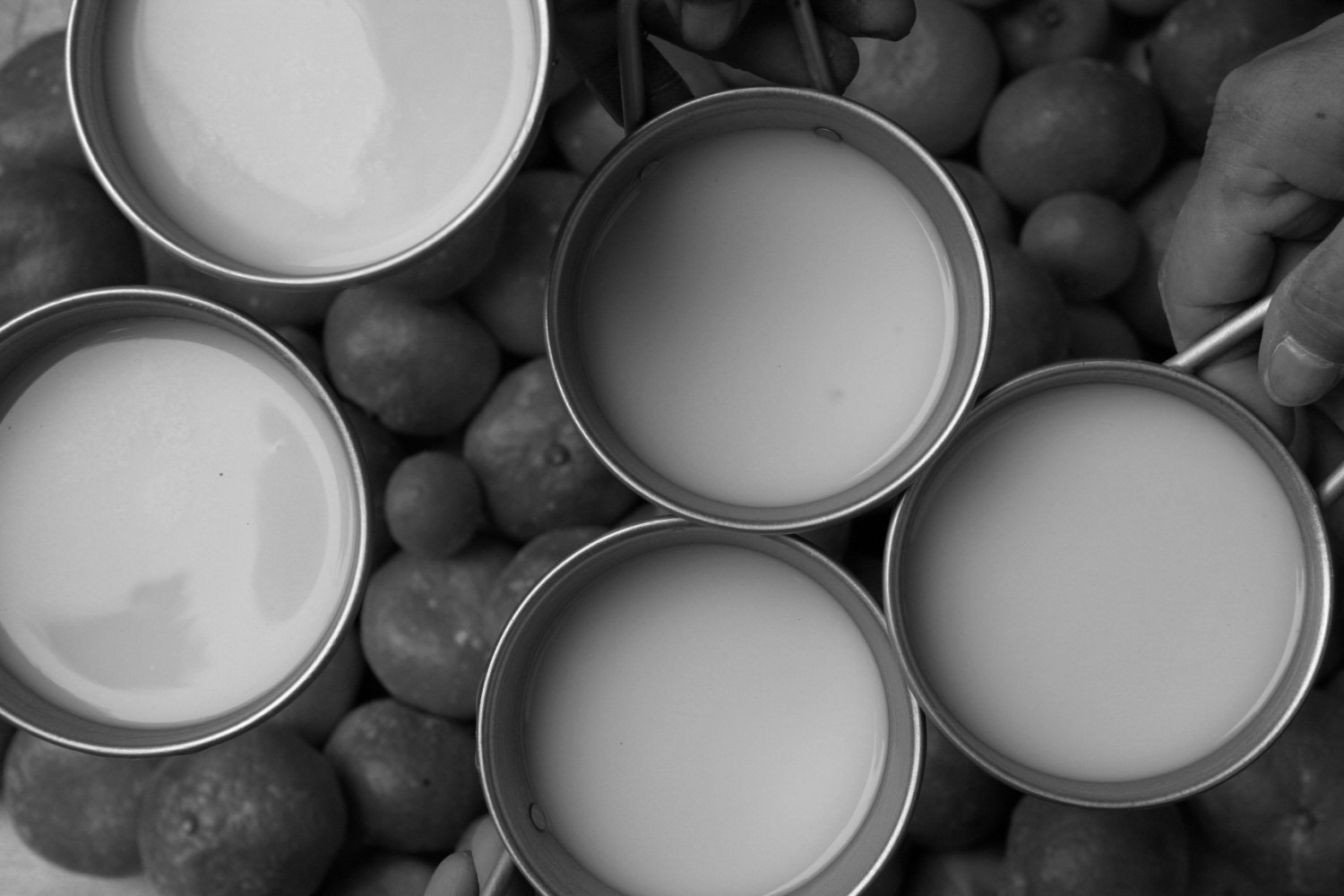 내가 태어난 제주 (14)