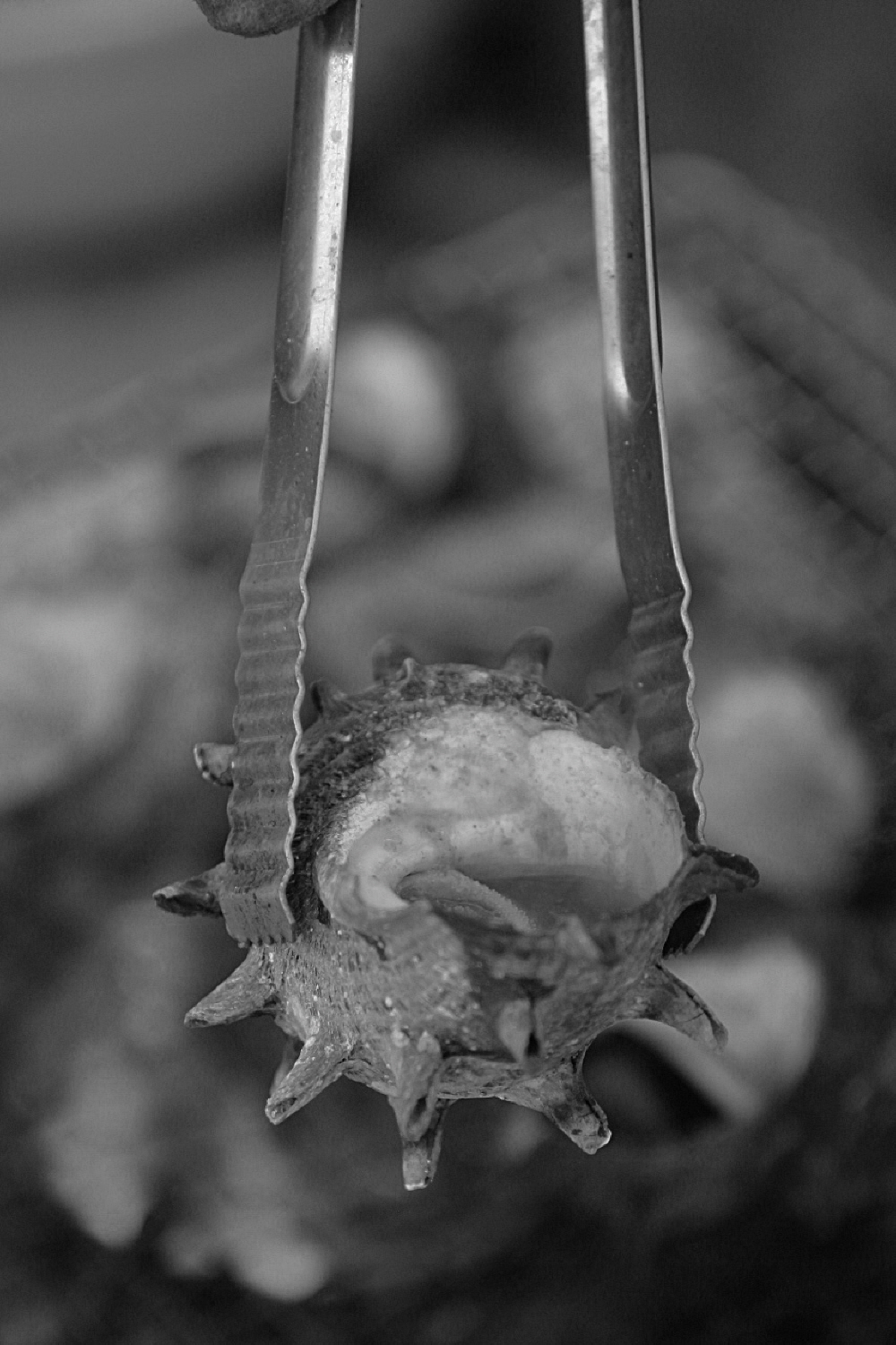 내가 태어난 제주 (16)