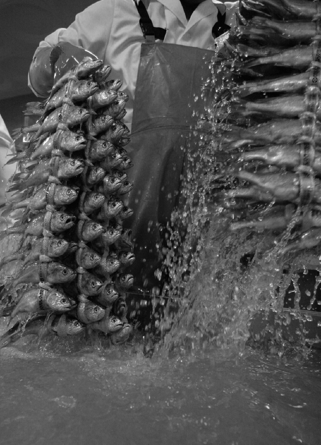 내가 태어난 제주 (17)