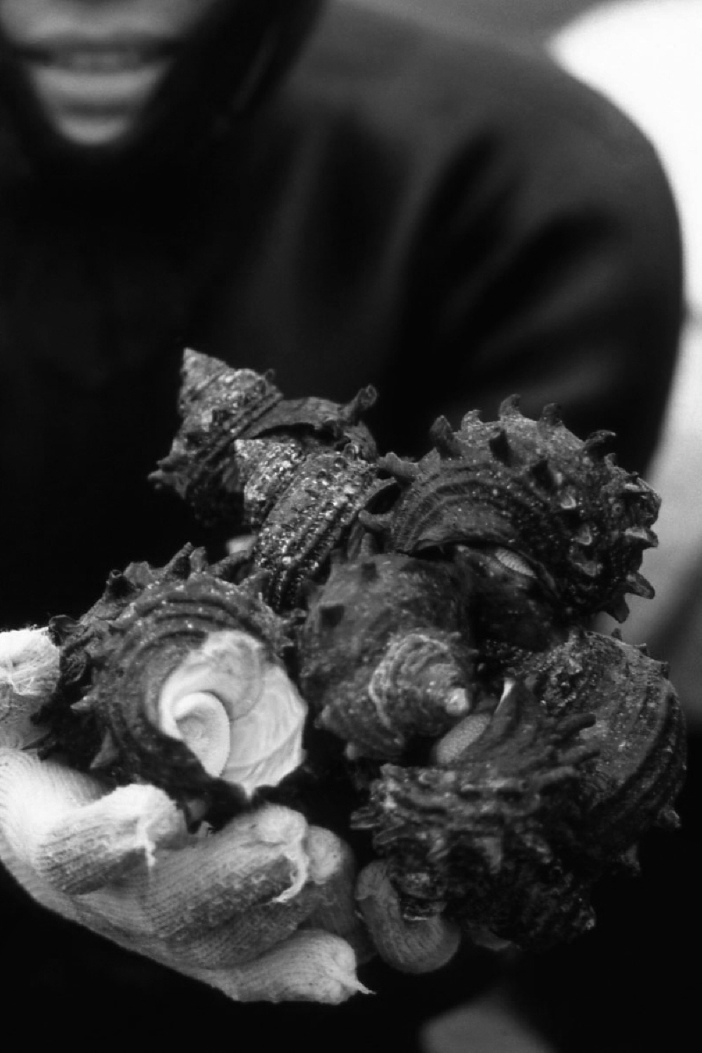 내가 태어난 제주 (31)