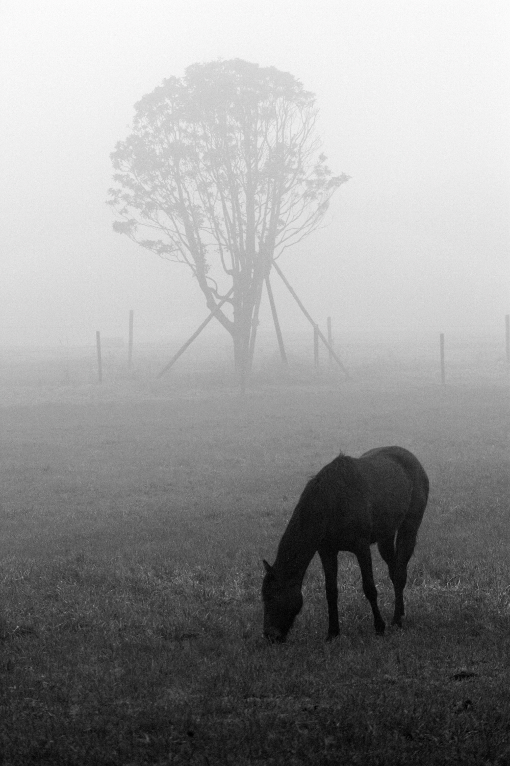 내가 태어난 제주 (33)