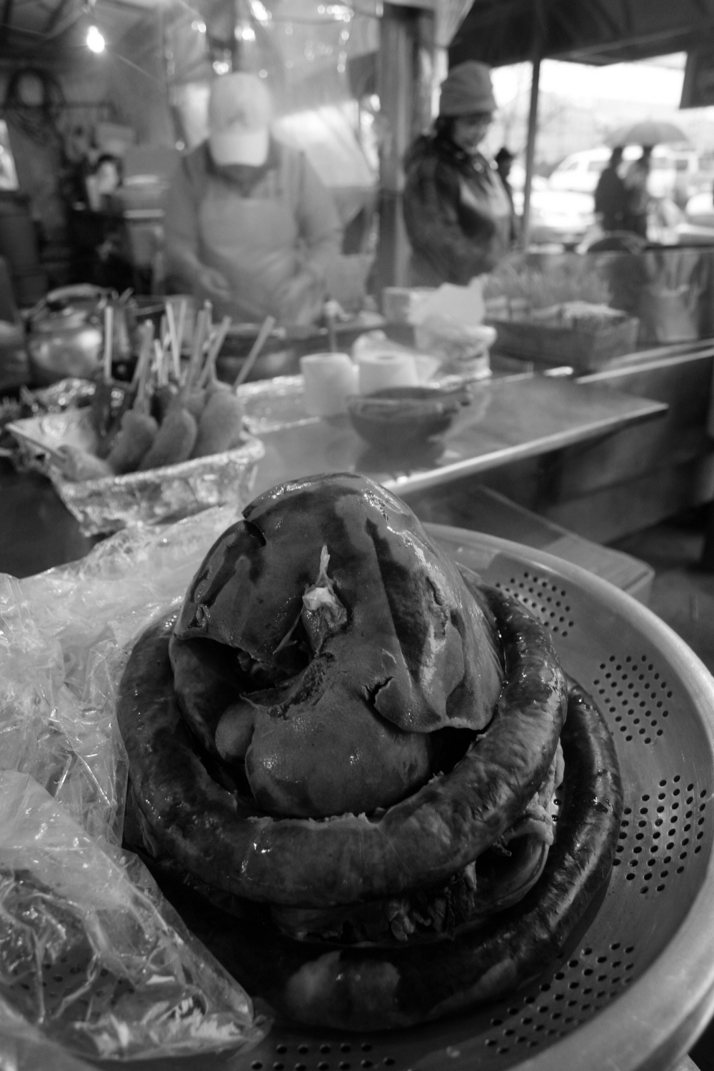 내가 태어난 제주 (35)