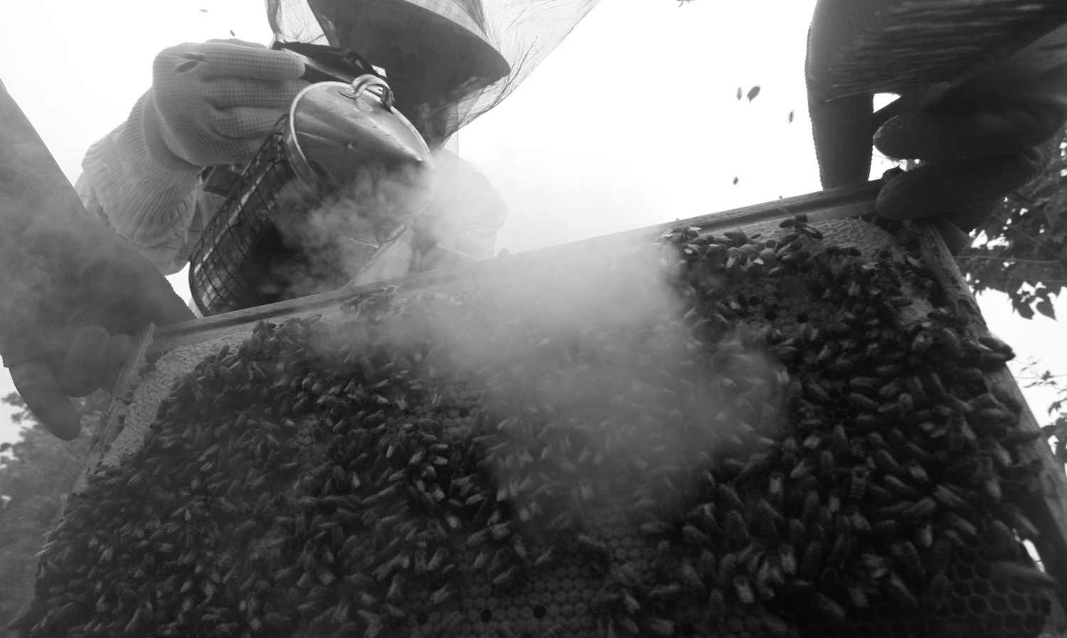 내가 태어난 제주 (36)