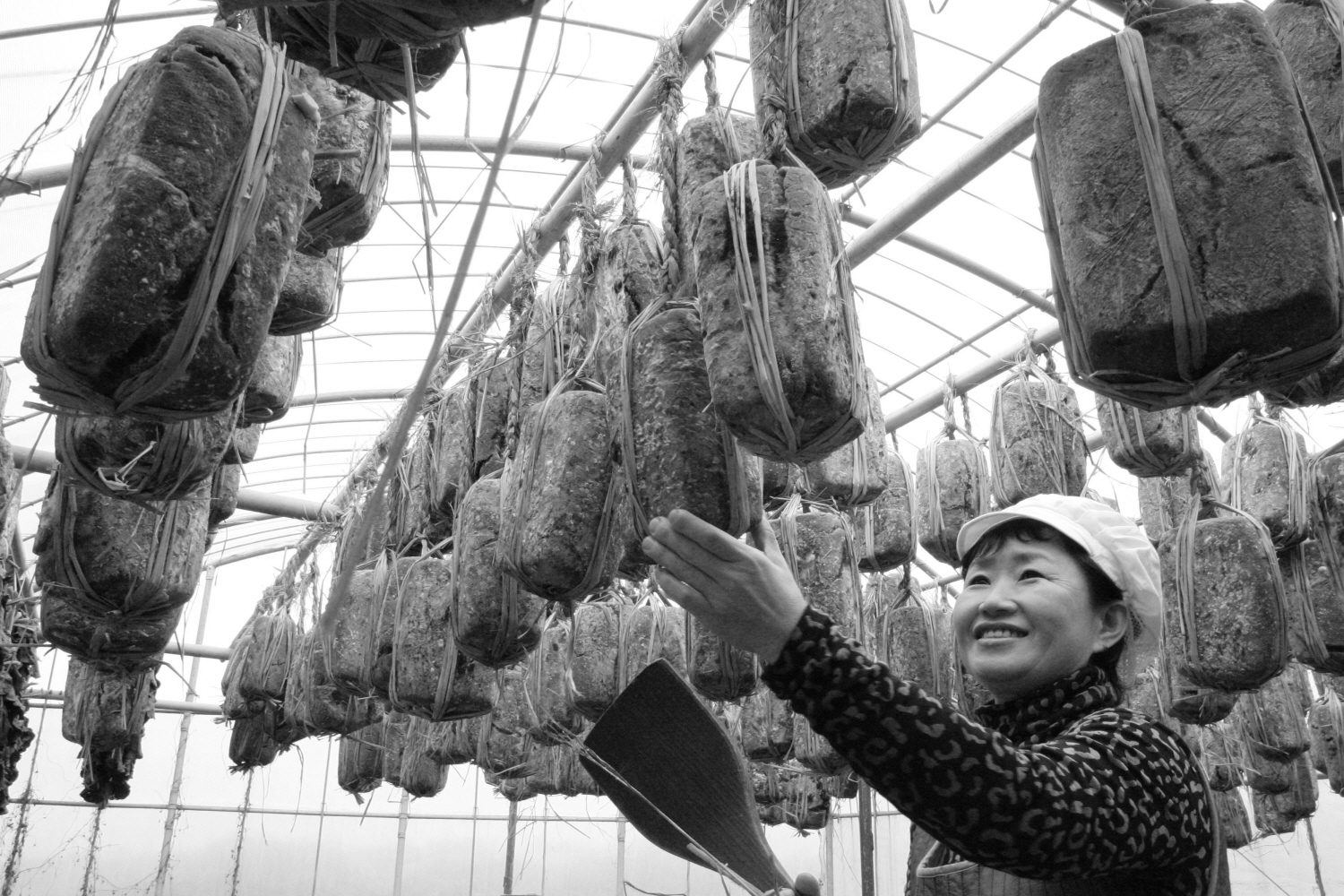 내가 태어난 제주 (37)