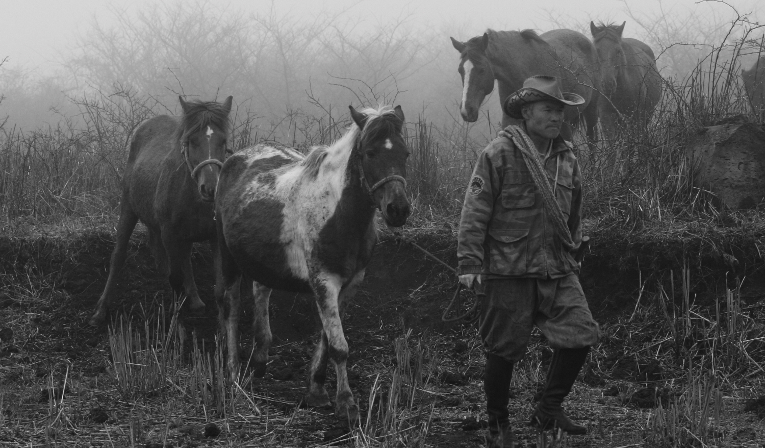 내가 태어난 제주 (38)