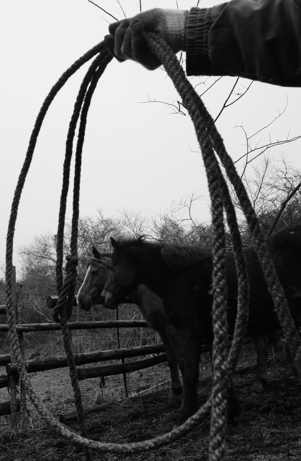 내가 태어난 제주 (39)