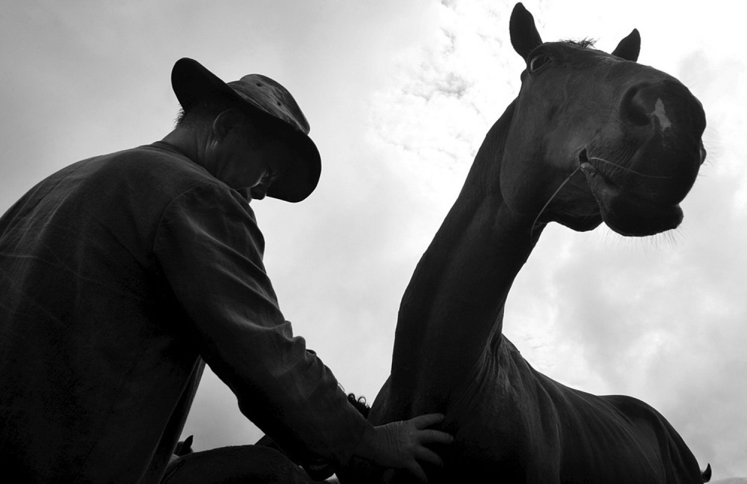 내가 태어난 제주 (4)