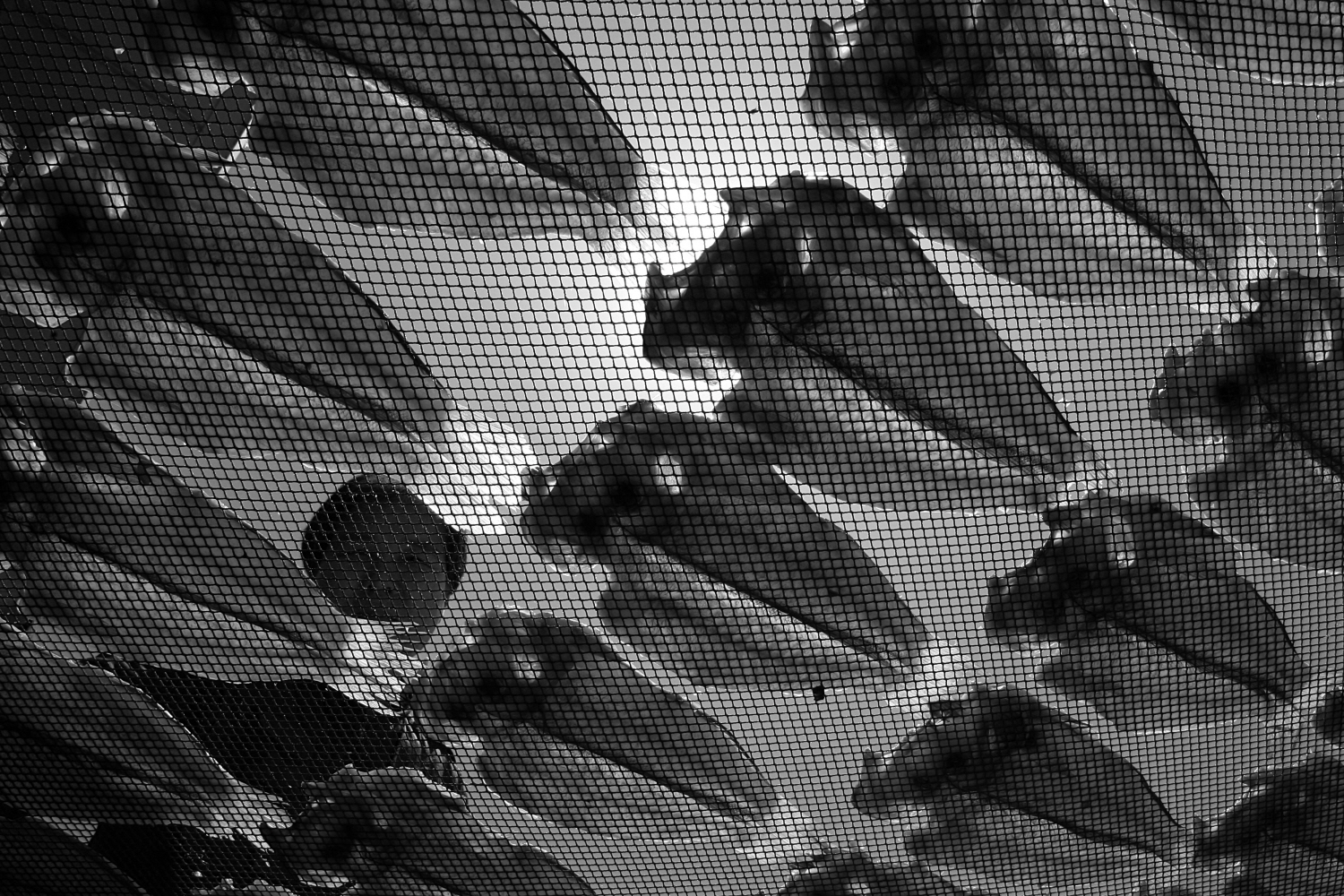 내가 태어난 제주 (41)