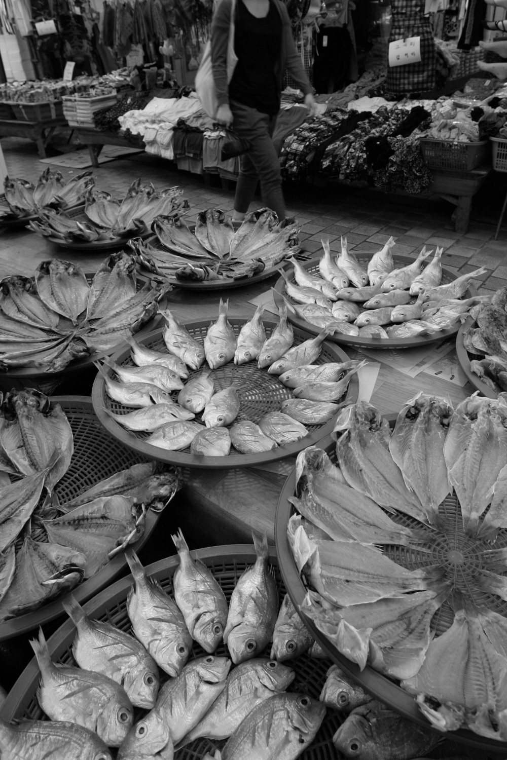 내가 태어난 제주 (44)