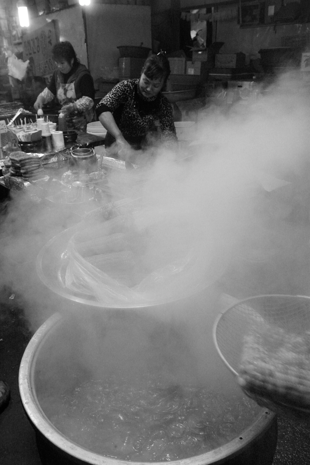 내가 태어난 제주 (47)