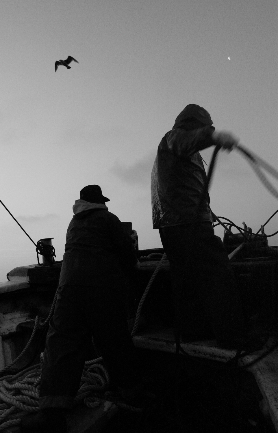 내가 태어난 제주 (49)