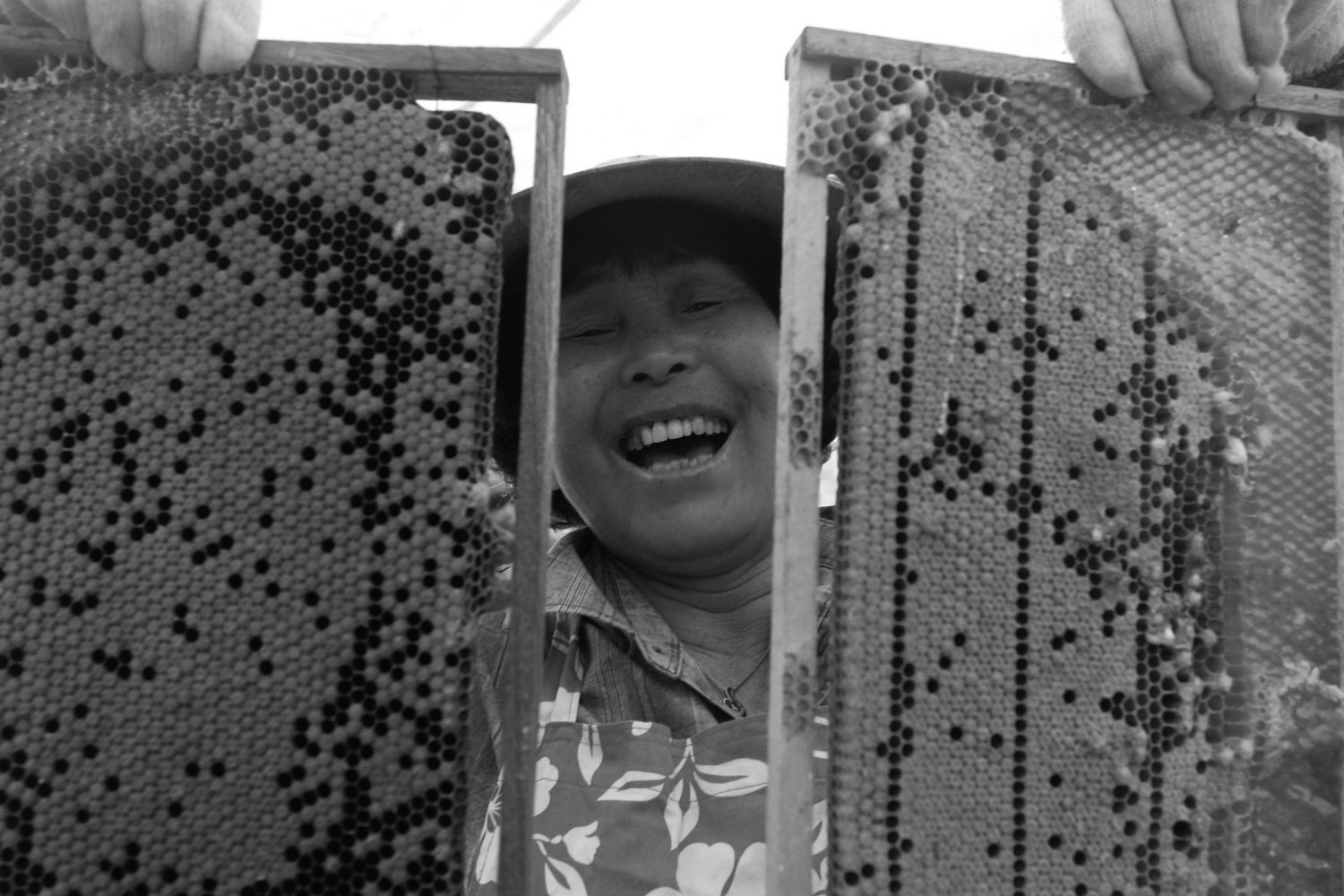 내가 태어난 제주 (50)