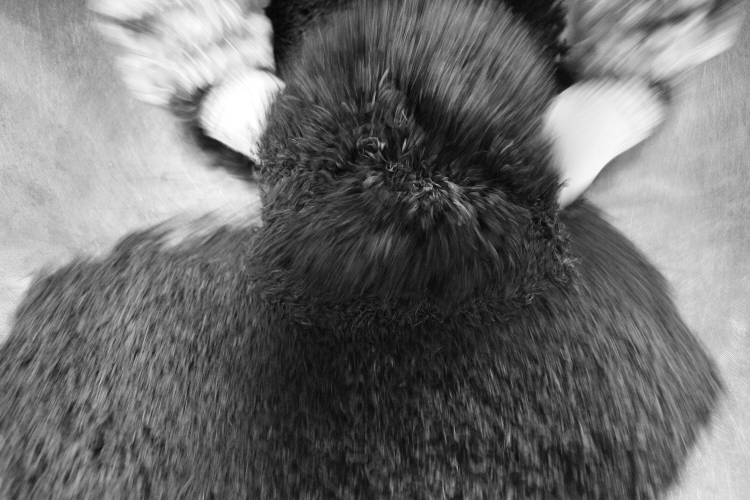 내가 태어난 제주 (53)