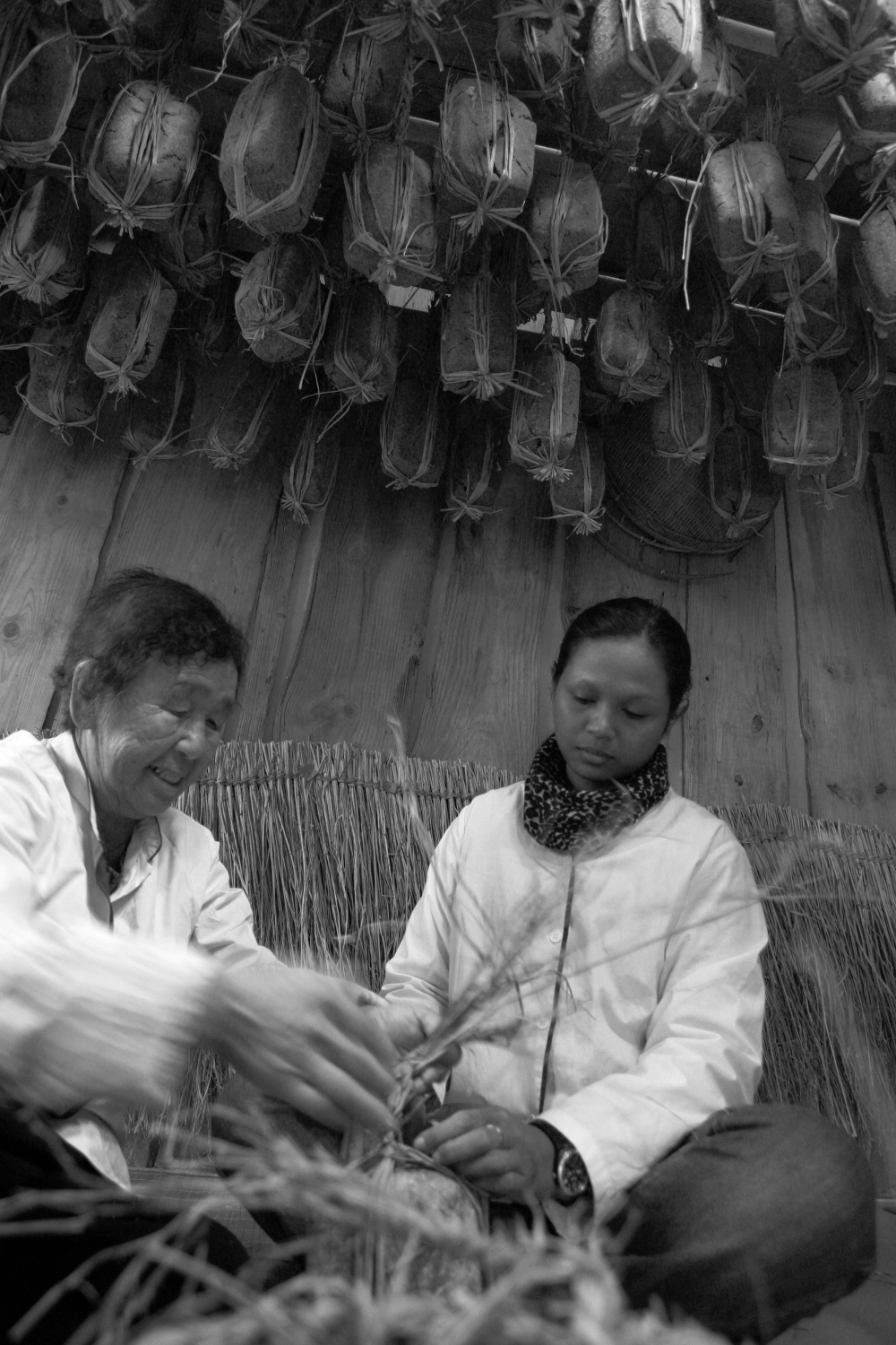 내가 태어난 제주 (55)