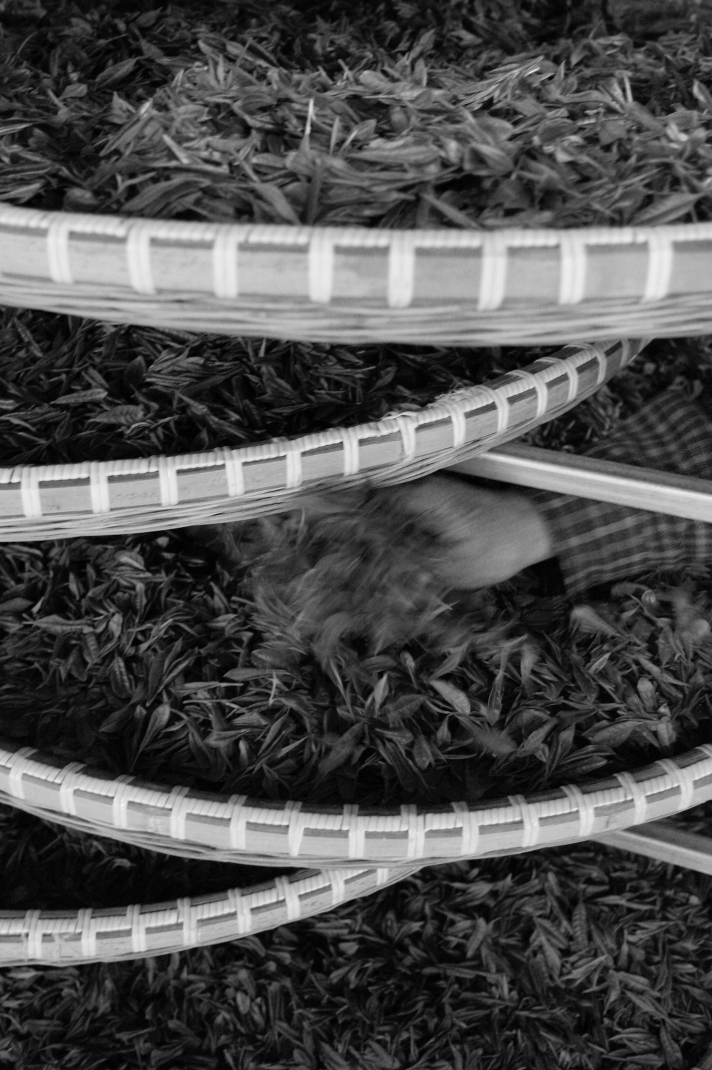 내가 태어난 제주 (58)