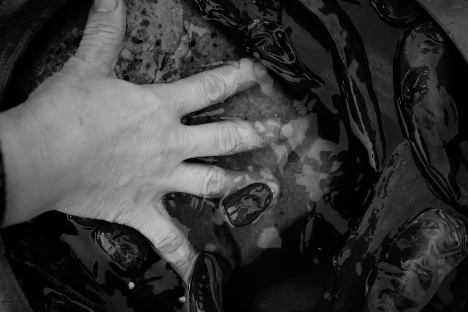 내가 태어난 제주 (59)