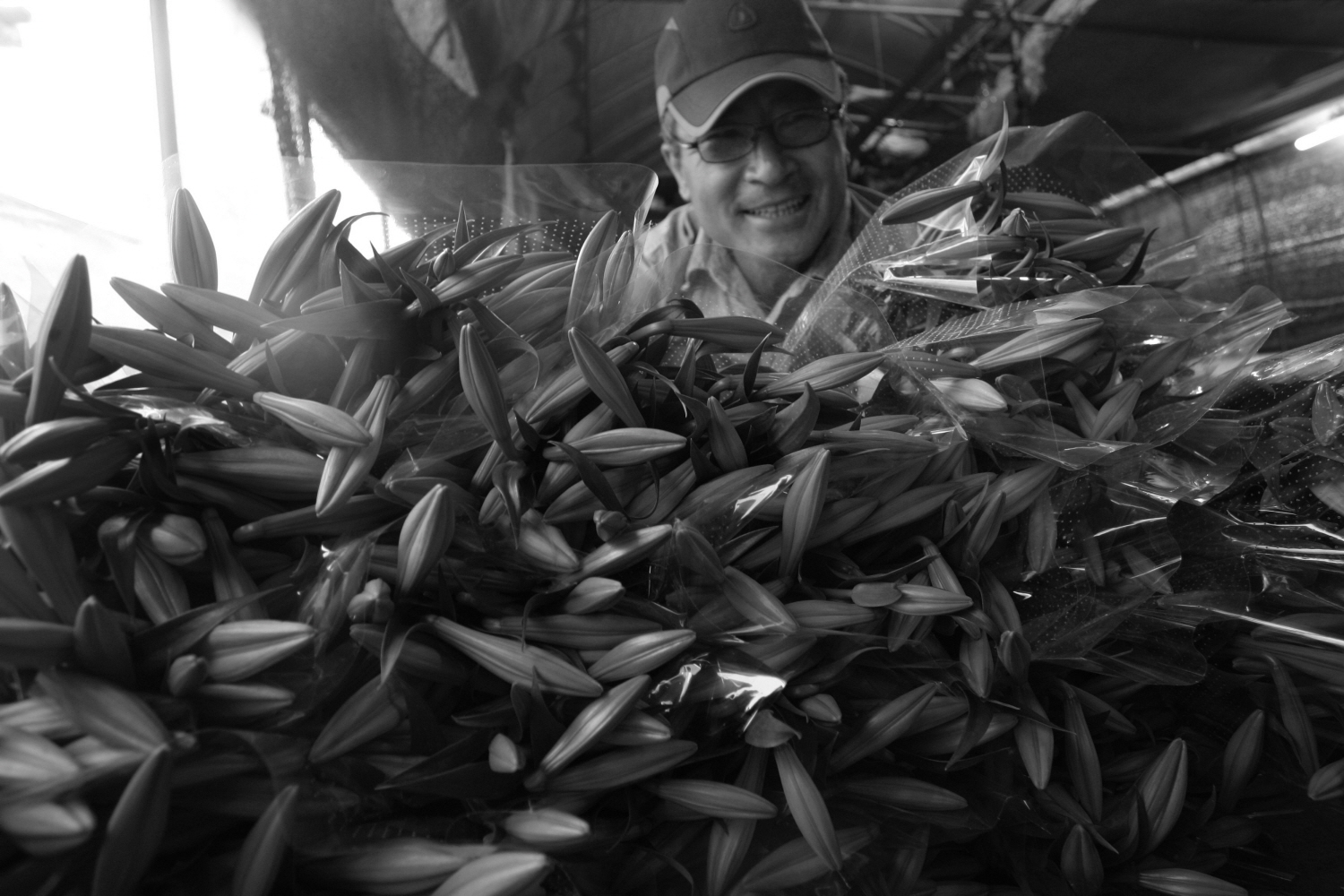 내가 태어난 제주 (60)