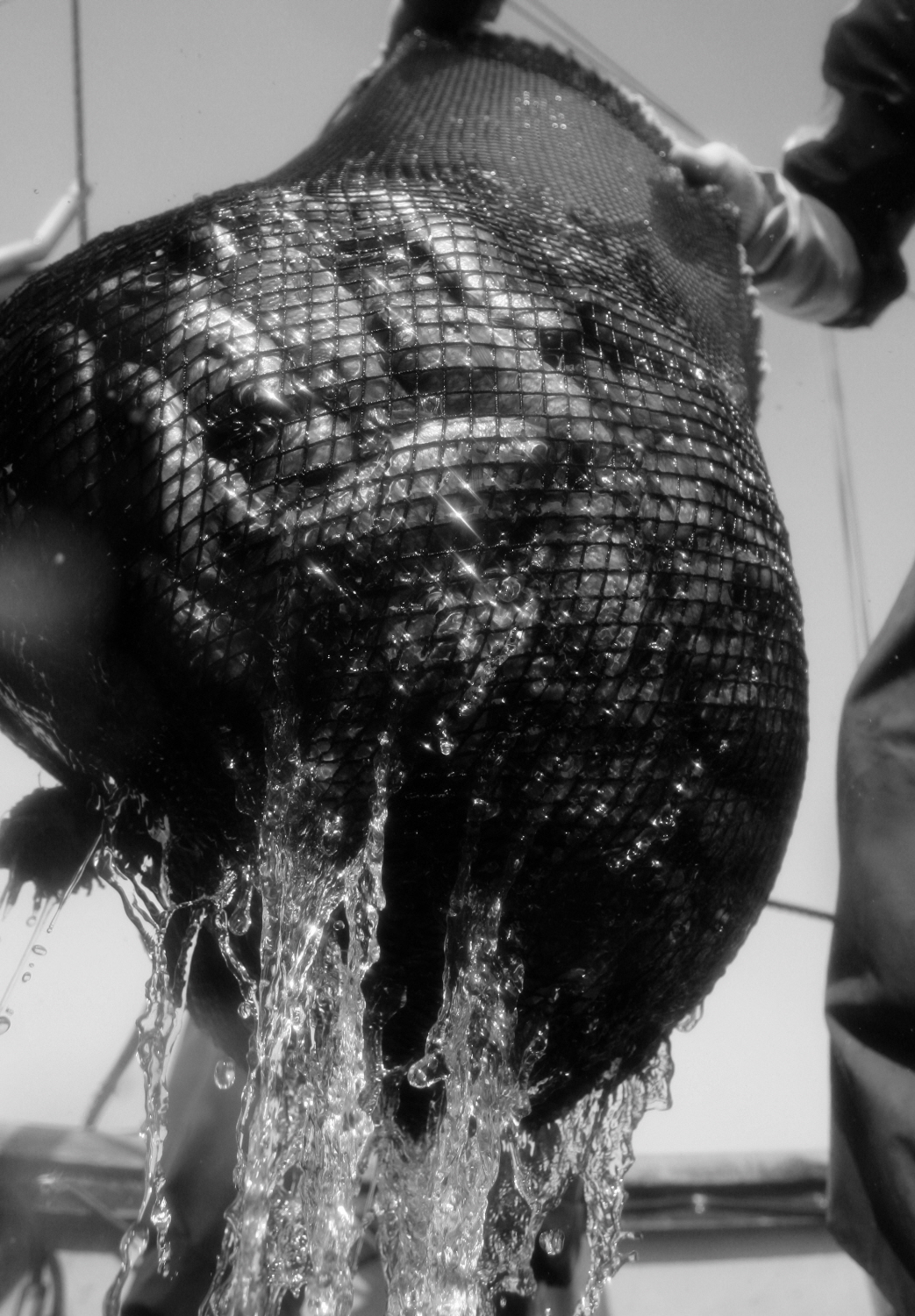 내가 태어난 제주 (61)