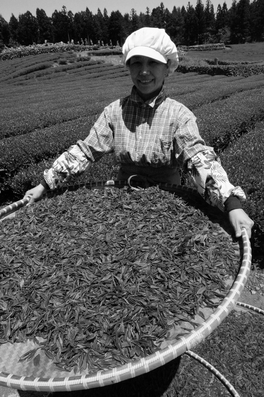 내가 태어난 제주 (64)