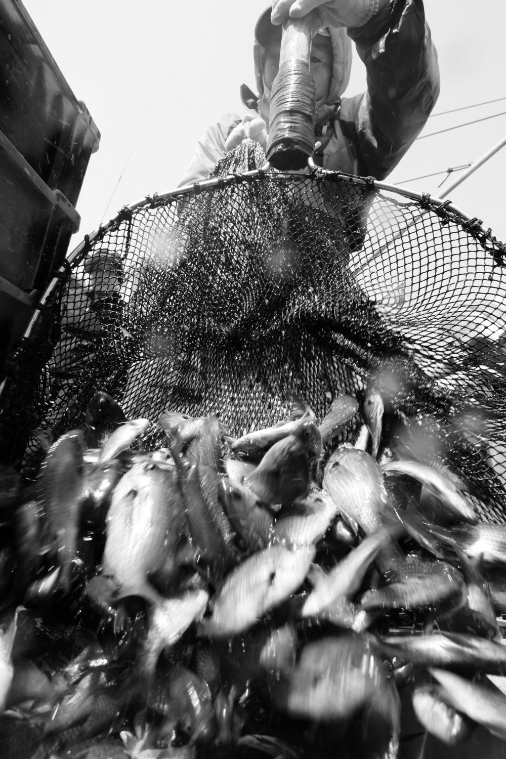 내가 태어난 제주 (66)