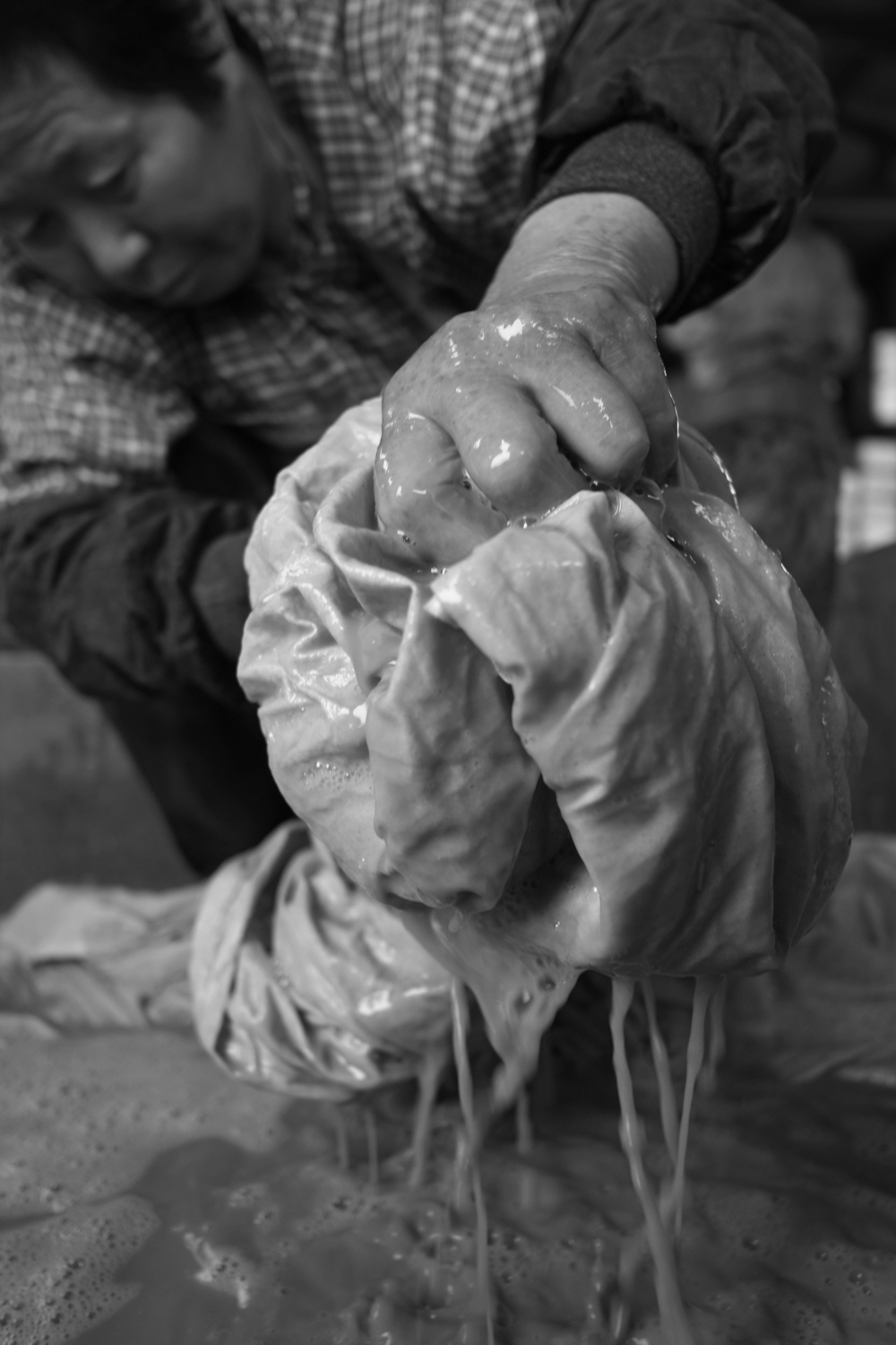 내가 태어난 제주 (72)