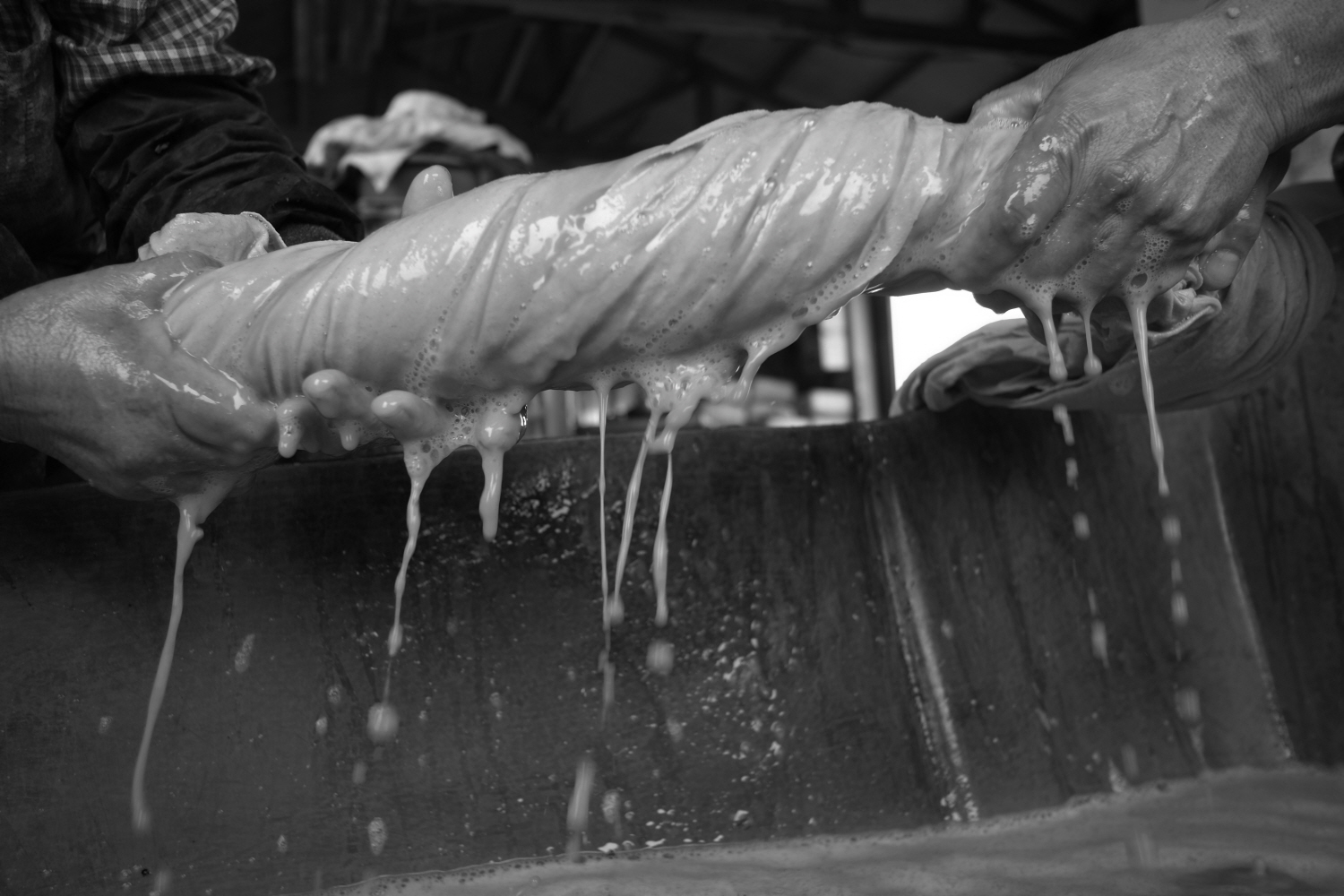 내가 태어난 제주 (73)