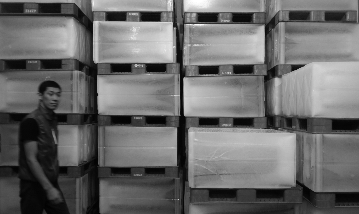 내가 태어난 제주 (77)