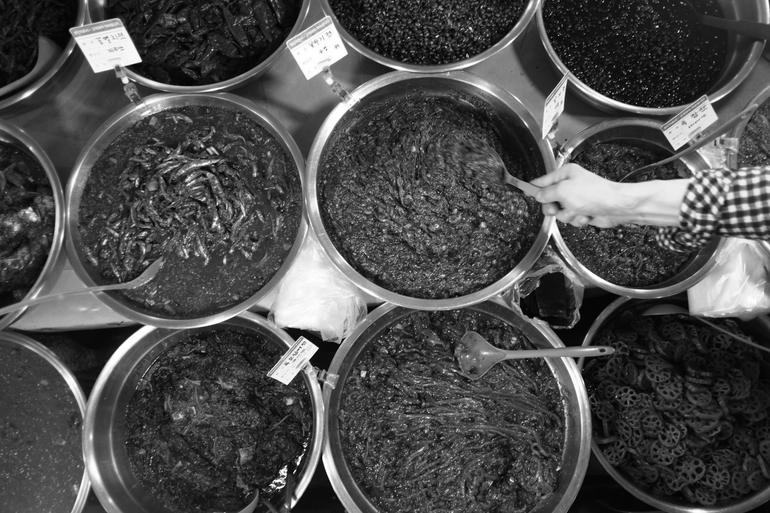 내가 태어난 제주 (78)