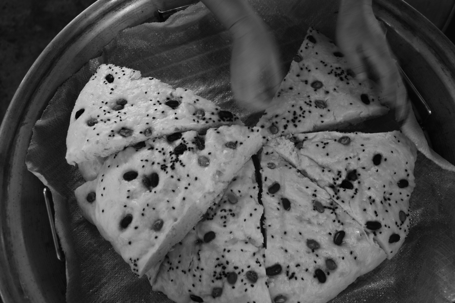 내가 태어난 제주 (81)