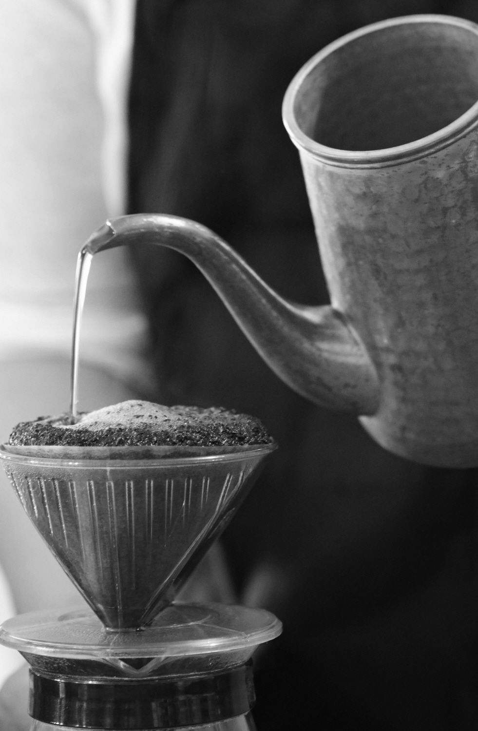 내가 태어난 제주 (82)