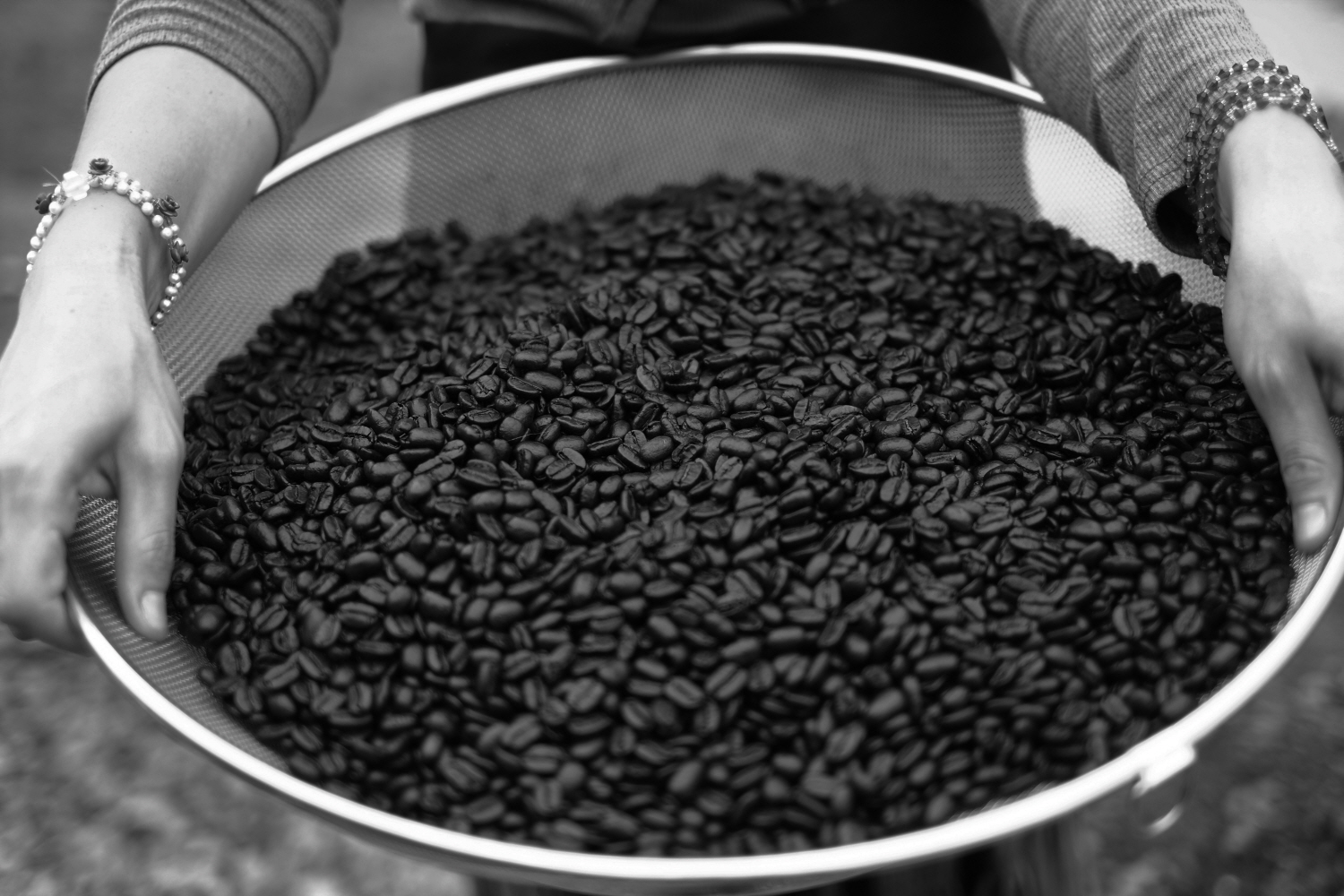 내가 태어난 제주 (84)