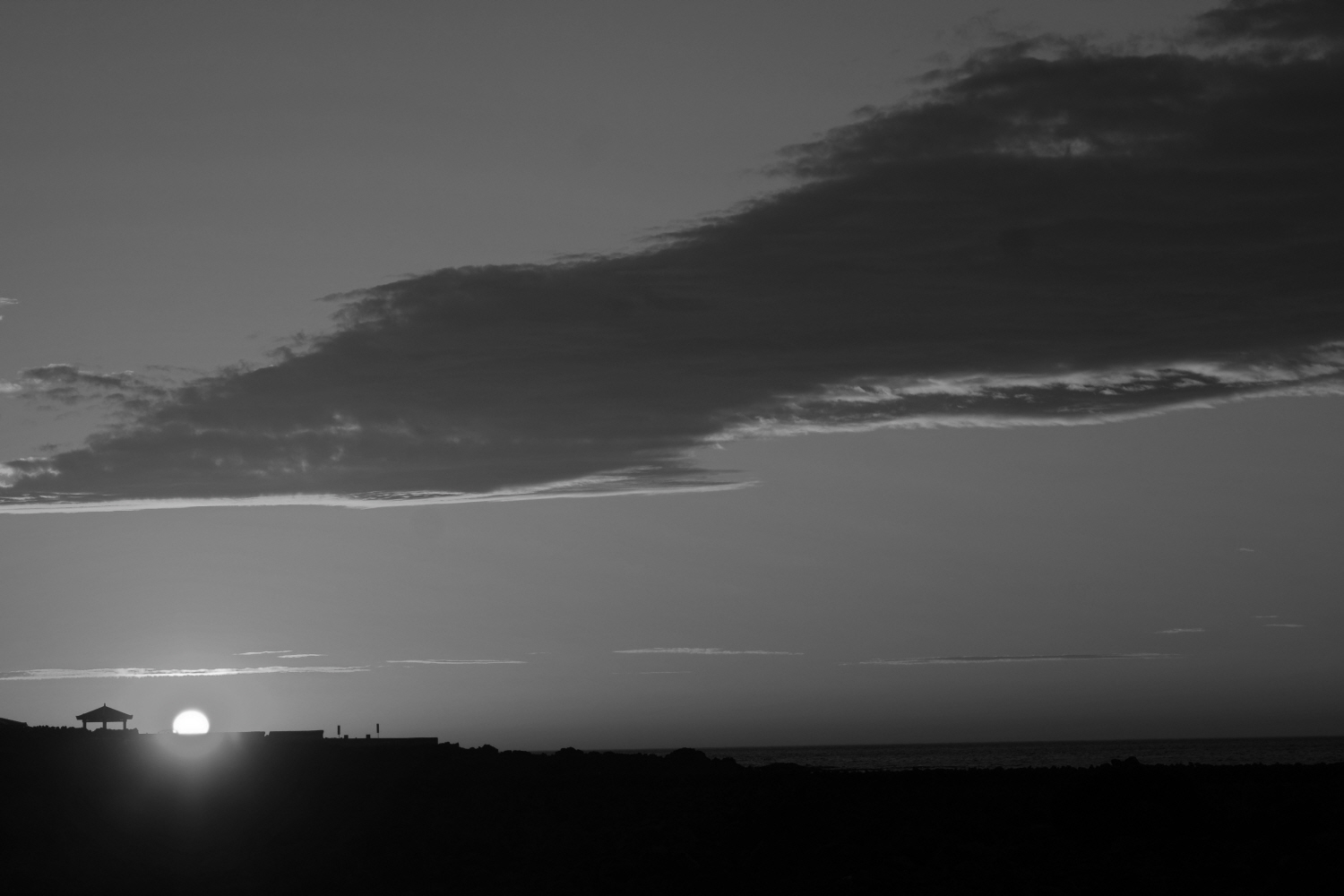 내가 태어난 제주 (85)