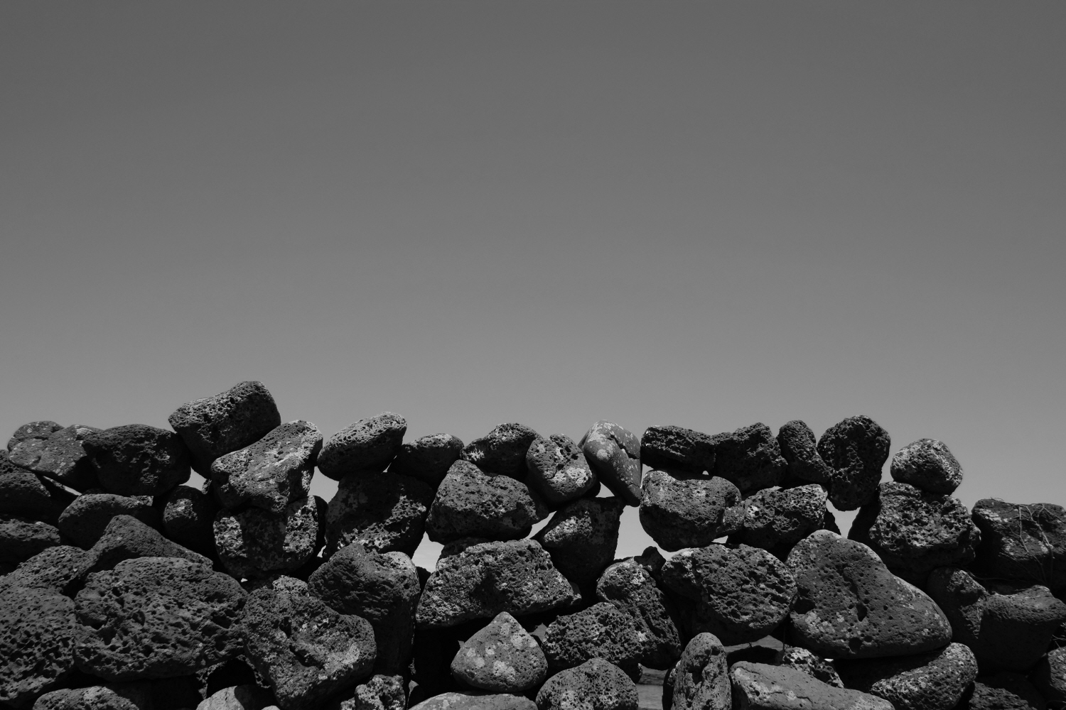 내가 태어난 제주 (87)