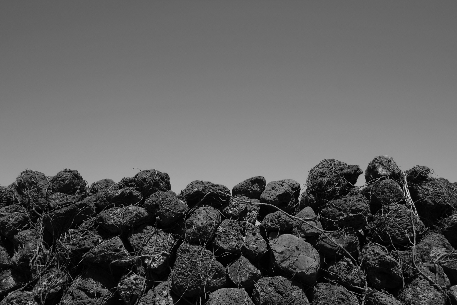 내가 태어난 제주 (88)