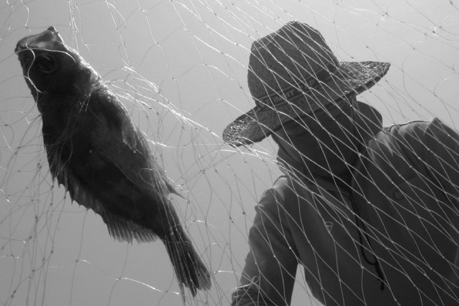 내가 태어난 제주 (90)