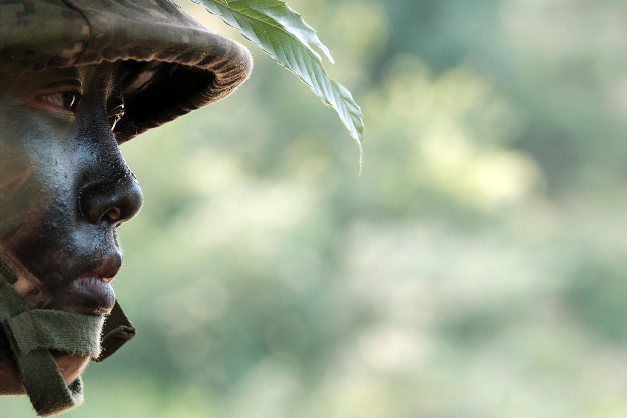 육군사관학교 (12)