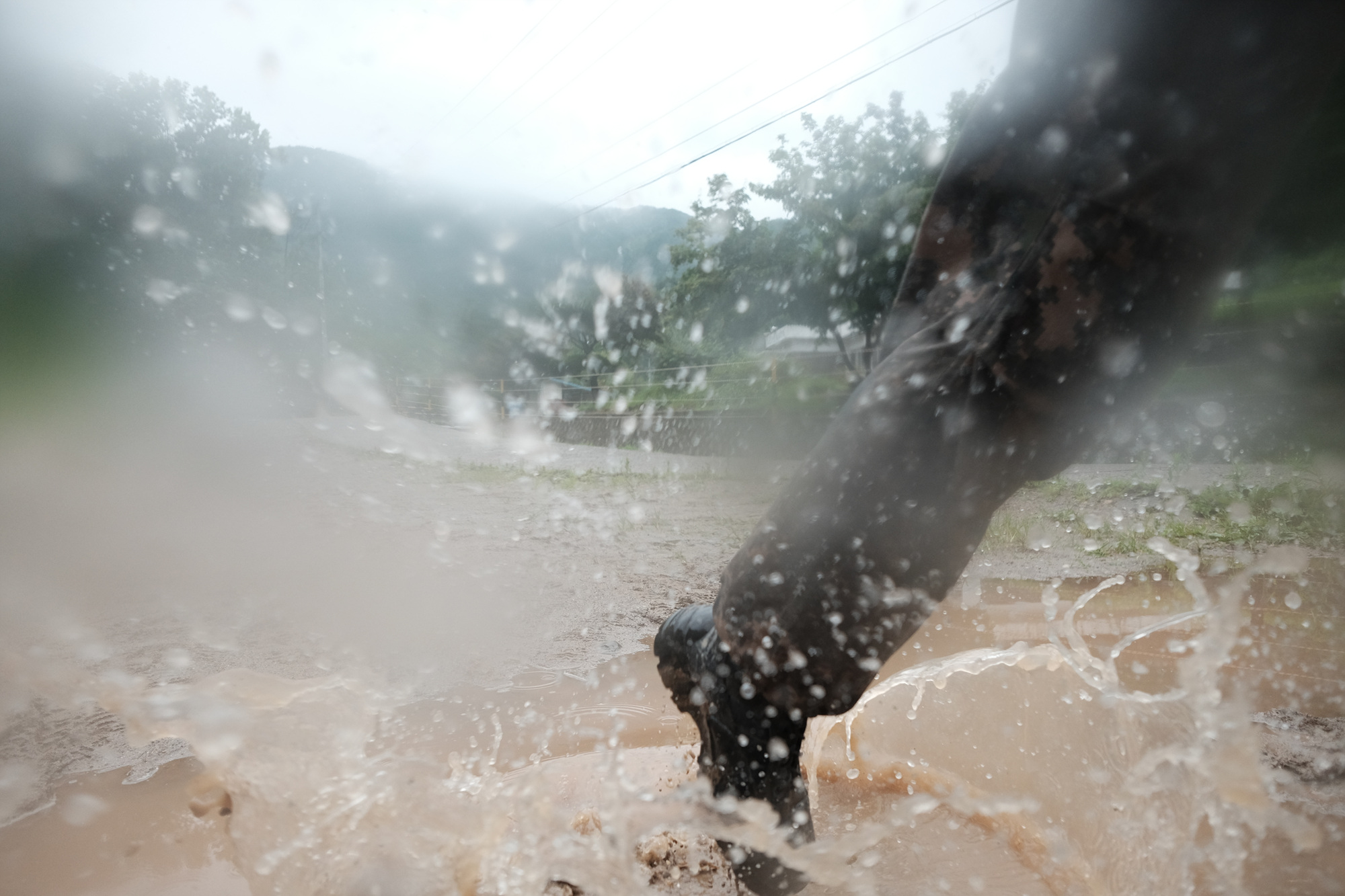 육군사관학교 (23)