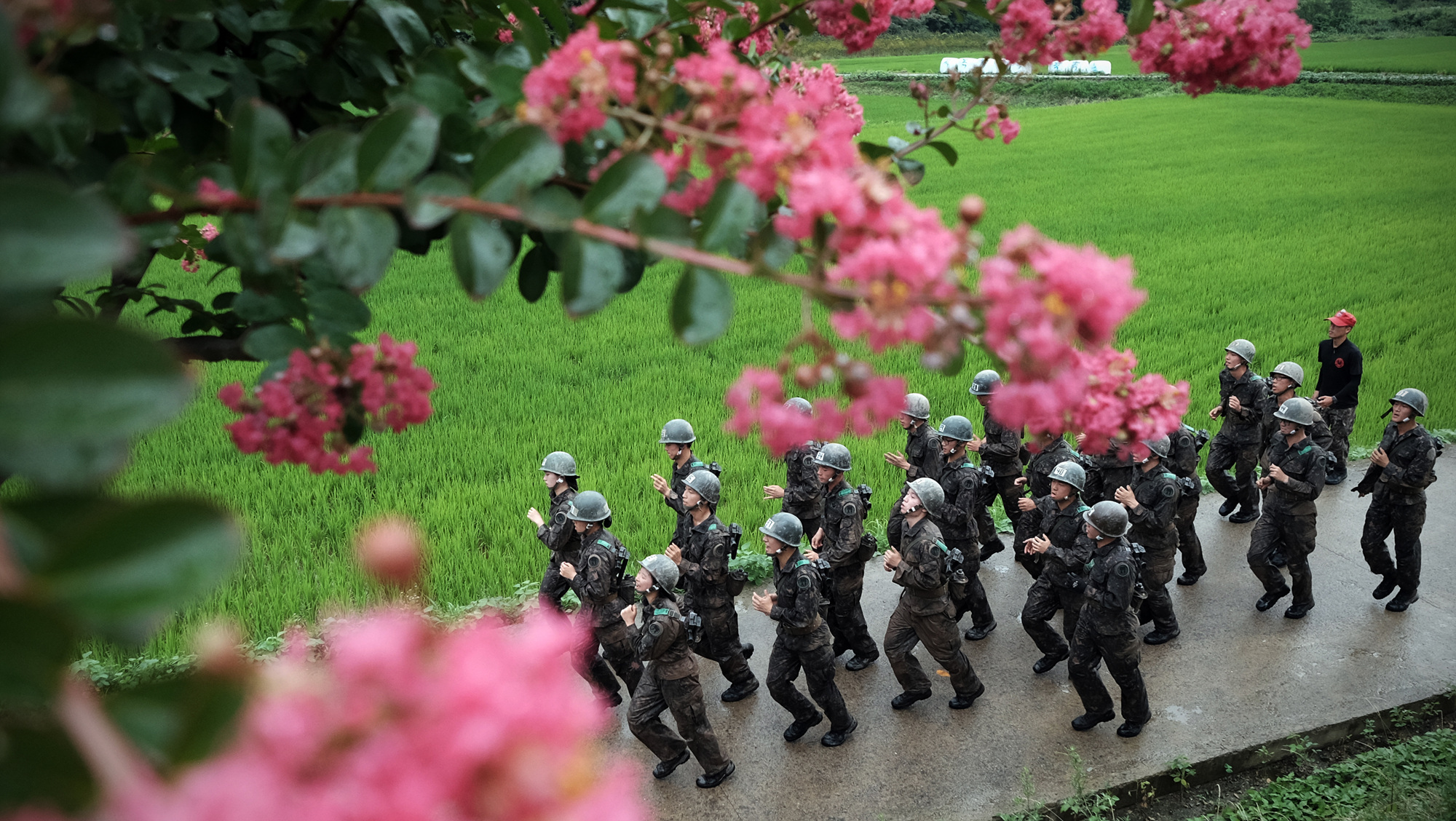 육군사관학교 (36)