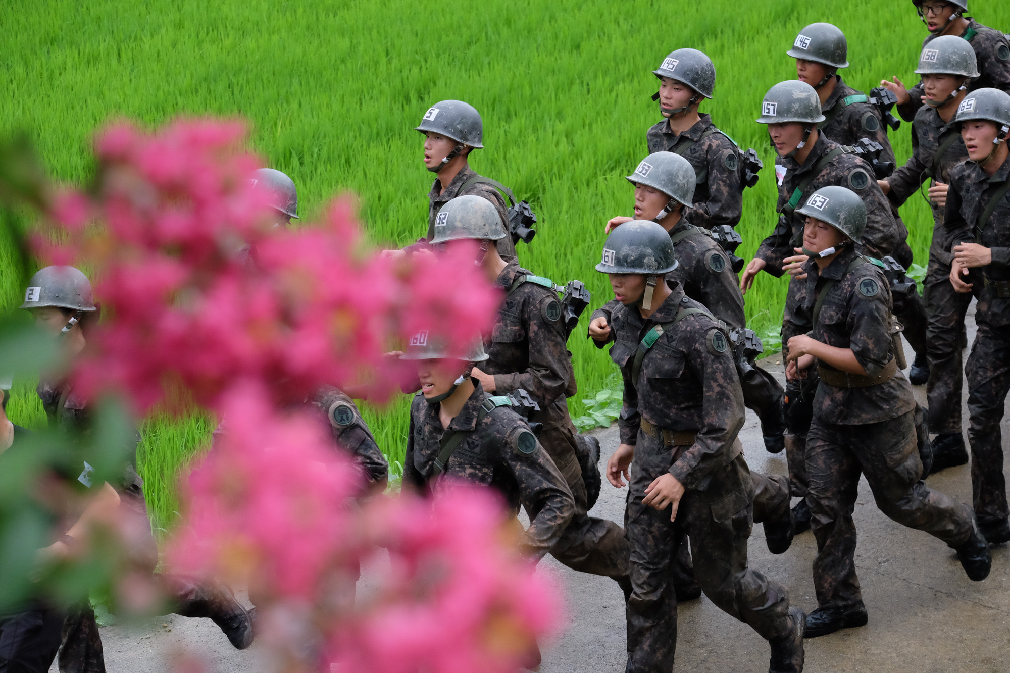 육군사관학교 (5)